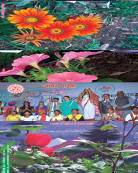 magzine_sbconsultancy